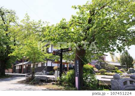 群馬県甘楽町小幡の雄川の流れと小幡の風景 107451224