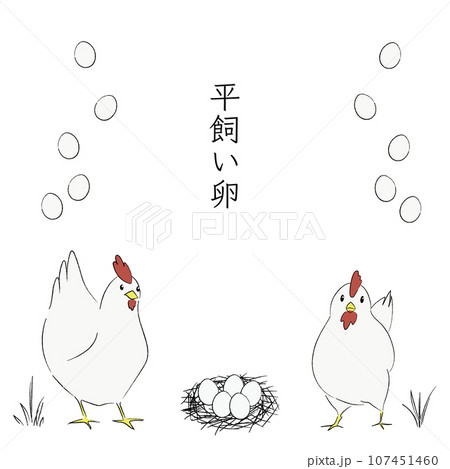 ニワトリとタマゴのイラスト1 ニワトリとタマゴのイラスト1 107451460
