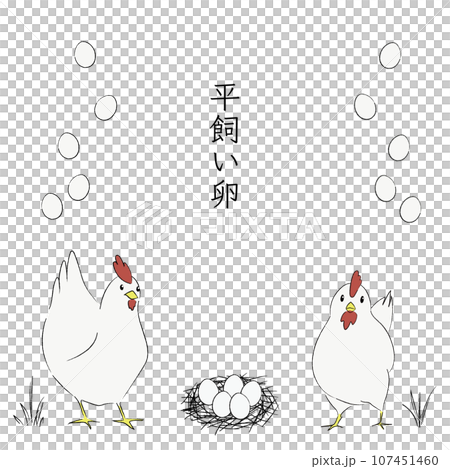 ニワトリとタマゴのイラスト1 ニワトリとタマゴのイラスト1 107451460