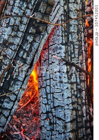 Detailed view of two ashen logs with red embers and tiny orange and yellow flames Detailed view of two ashen logs with red embers and tiny orange and yellow flames 107452001