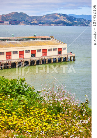 Wildflowers on shore with view of warehouse pier on San Francisco Bay Wildflowers on shore with view of warehouse pier on San Francisco Bay 107452106
