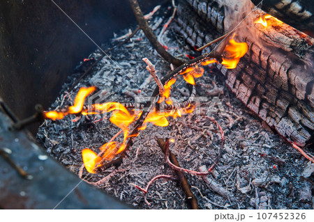 Close up of small twigs on fire with orange and yellow flames and red ashen embers below 107452326