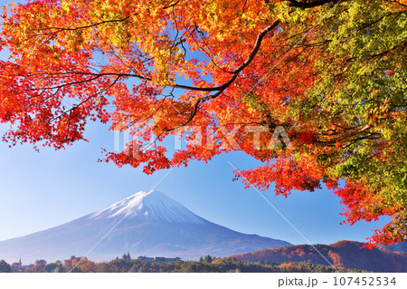 秋の紅葉と富士山 107452534