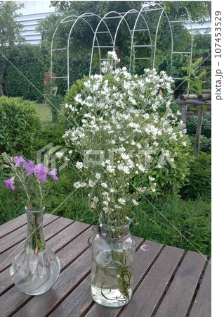 tree, flower ,naturally,beautiful,seasonal tree, flower ,naturally,beautiful,seasonal 107453529