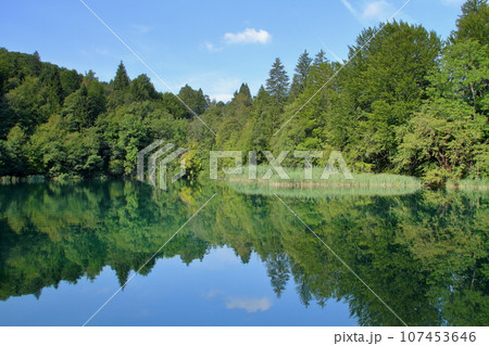 クロアチアの世界自然遺産プリトヴィッツェ湖群国立公園 上湖群の湖面の水鏡 クロアチアの世界自然遺産プリトヴィッツェ湖群国立公園 上湖群の湖面の水鏡 107453646