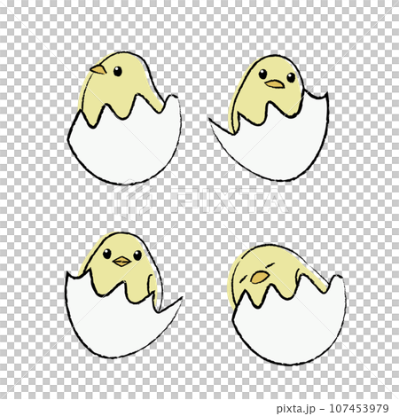 生まれたてひよこのイラスト カラー 生まれたてひよこのイラスト カラー 107453979