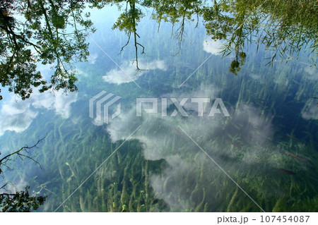 南欧クロアチアの世界自然遺産プリトヴィッツェ湖群国立公園　上湖群の湖面に映る雲 107454087