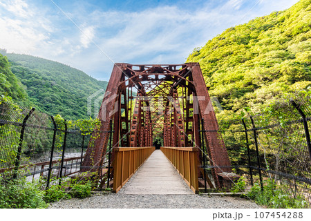 《兵庫県》武田尾 廃線跡鉄橋 《兵庫県》武田尾 廃線跡鉄橋 107454288
