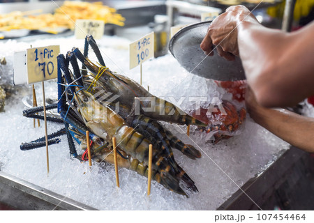 Raw shrimps in ice in the Jalan Alor street food in Kuala Lumpur Raw shrimps in ice in the Jalan Alor street food in Kuala Lumpur 107454464