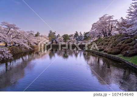 山形県米沢市　春の米沢城址のお堀と満開の桜 107454640