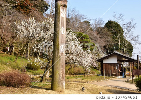 水戸市 偕楽園の南門料金所と満開の梅 水戸市 偕楽園の南門料金所と満開の梅 107454661