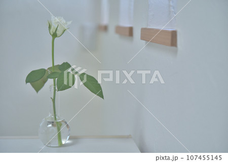 花瓶の白いバラ 107455145