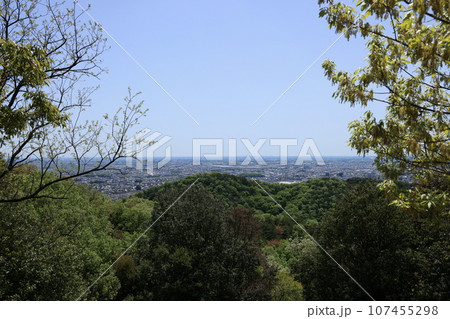 群馬県太田市金山城址の中島記念公園の風景 107455298