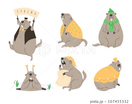 Set of cute and funny groundhogs, cartoon flat vector illustration isolated on white background. 107455332