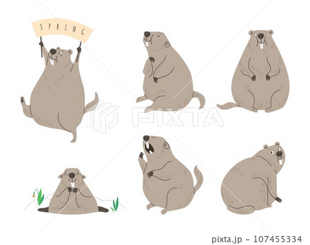 Cute groundhog vector illustration set, wild ground animal, funny marmot with big front teeth, woodchuck enjoying spring 107455334