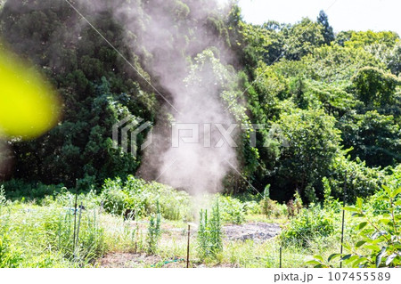 突然の旋風! 突然の旋風! 107455589