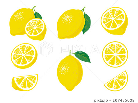 レモンイラスト バラエティーセット アイコン レモンイラスト バラエティーセット アイコン 107455608