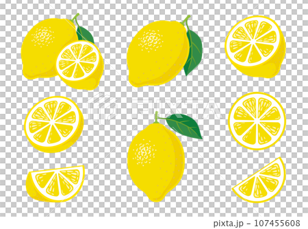 レモンイラスト バラエティーセット アイコン レモンイラスト バラエティーセット アイコン 107455608