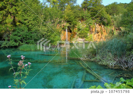 南欧クロアチアの世界自然遺産プリトヴィッツェ湖群国立公園 上湖群の滝が流れ込む湖の景色 南欧クロアチアの世界自然遺産プリトヴィッツェ湖群国立公園 上湖群の滝が流れ込む湖の景色 107455798