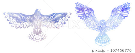 Vector set of watercolor silhouette decorative flying birds. Colorful cliparts of an owl and hawk with spread wings isolated from background. 107456770