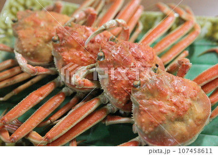 焼き松葉ガニ 焼き松葉ガニ 107458611