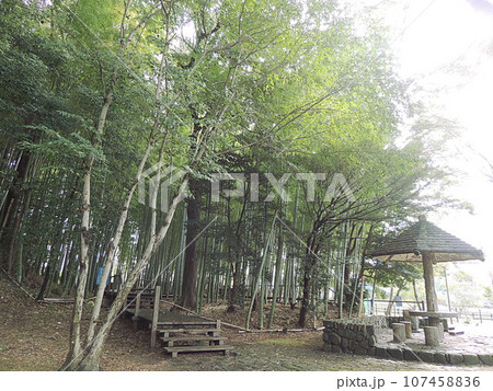 見沼通船堀公園 107458836