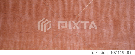 Closeup texture of wooden flooring made of Alder Curly Closeup texture of wooden flooring made of Alder Curly 107459383