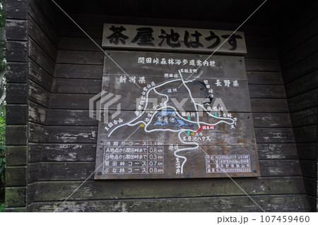 茶屋池ハウスに設置されている遊歩道の案内図 2023年8月27日 茶屋池ハウスに設置されている遊歩道の案内図 2023年8月27日 107459460