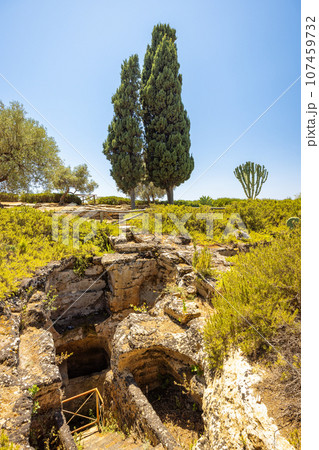 Cavities in Valley of the Temples at Agrigento on Sicily, Italy. 107459732