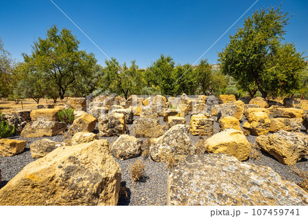 Remains of Temple of Zeus in Valley of the Temples. 107459741
