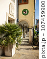 The street of the old European city the day, in summer. Palm tree in a flower pot 107459900