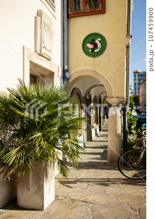 The street of the old European city the day, in summer. Palm tree in a flower pot The street of the old European city the day, in summer. Palm tree in a flower pot 107459900