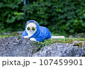 Japanese rapper cat in sweatshirt and sunglasses on rocks outside 107459901