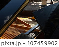 Piano is inside, strings closeup, nobody, outdoor 107459902