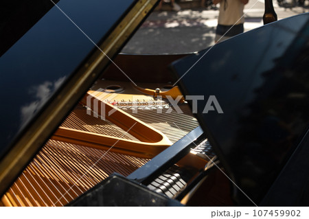 Piano is inside, strings closeup, nobody, outdoor 107459902
