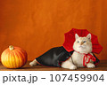 A cat in a vampire costume lies on the table. Halloween theme 107459904