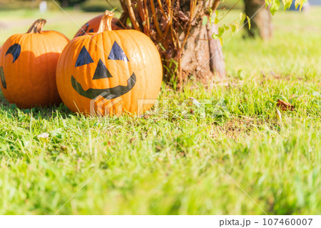 ハロウィン・イベント イメージ 107460007