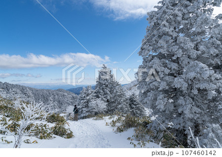雪景色の富士見台高原 107460142