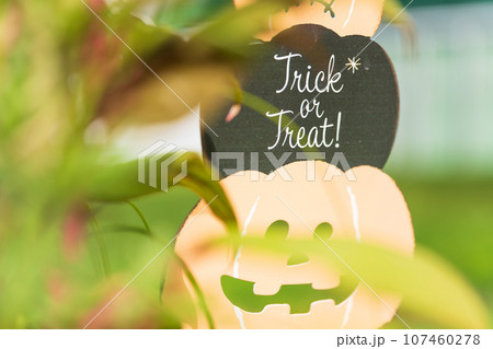 ハロウィン・イベント イメージ 107460278