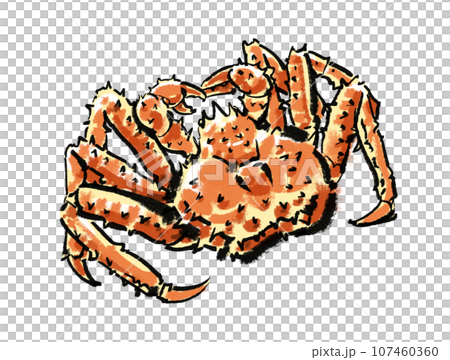 タラバガニ-カラー タラバガニ-カラー 107460360