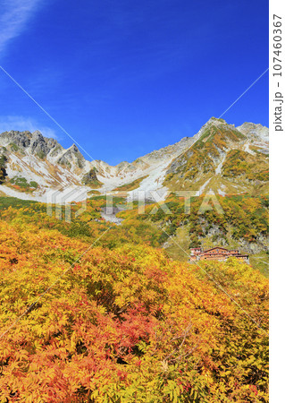 紅葉見頃な秋の涸沢カール 紅葉見頃な秋の涸沢カール 107460367