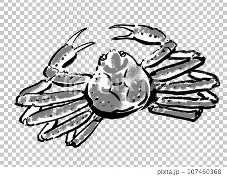 Snow crab-monochrome 107460368