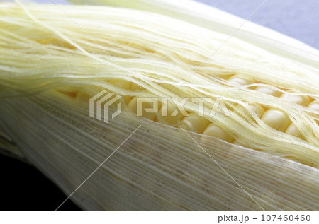 トウモロコシ 107460460