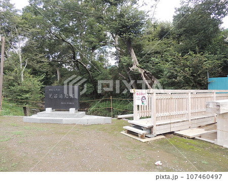 見沼通船堀 107460497