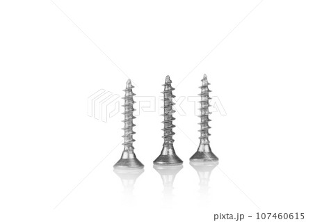 macro screw of silver color on a white background 107460615