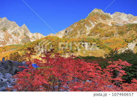 紅葉見頃な秋の涸沢カール 107460657