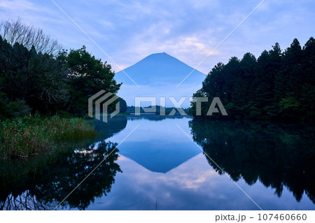 田貫湖からの夜明けの富士山 107460660