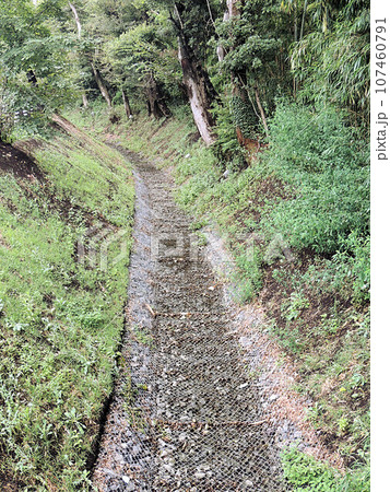 見沼通船堀 107460791