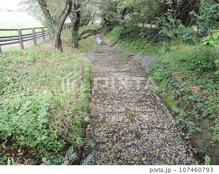 見沼通船堀 107460793