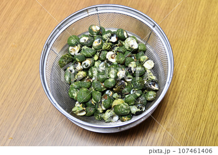 ボイルしたシッタカ 107461406